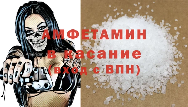 гидра Володарск