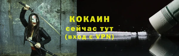 гидра Володарск