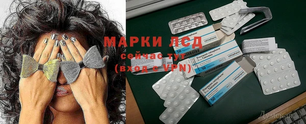 гидра Володарск