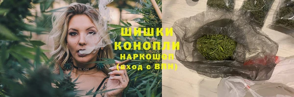 гидра Володарск