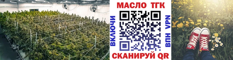 Купить закладки  Лесной  Дистиллят ТГК концентрат 