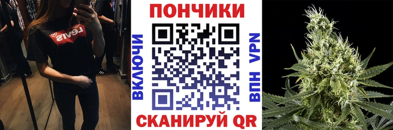 Шишки марихуана план  Купить закладки  Лесной 